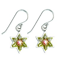 Enamel and Silver Star of David Earrings - Green